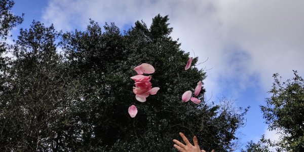 spring_acupuncture