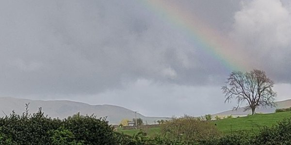 rainbow_acupuncture